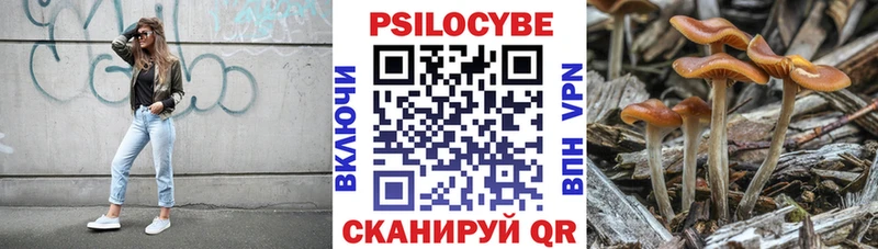 Псилоцибиновые грибы GOLDEN TEACHER  наркошоп  Волосово 